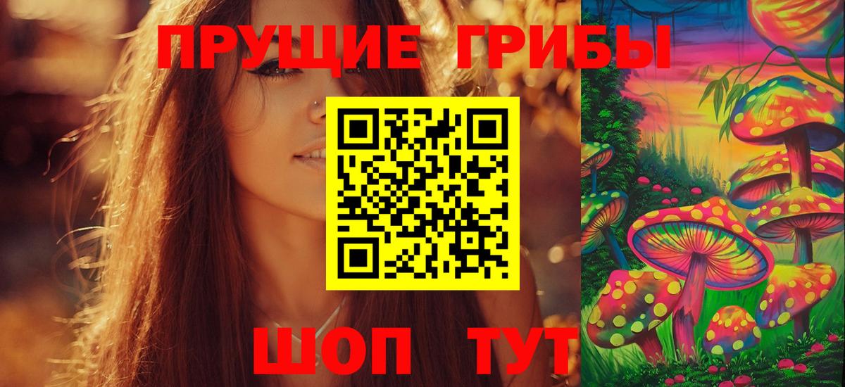 Псилоцибиновые грибы Cubensis Кизляр