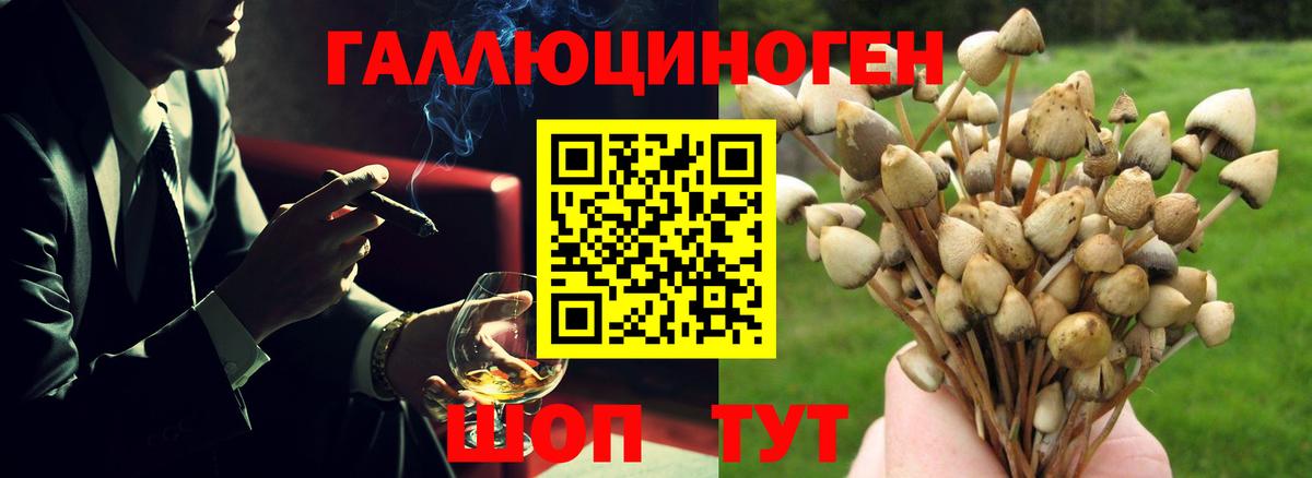 Псилоцибиновые грибы мухоморы  Вход с VPN  Кизляр  Псилоцибиновые грибы Magic Shrooms 